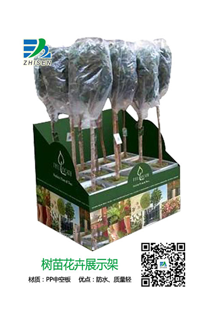 樹苗花卉展示包裝